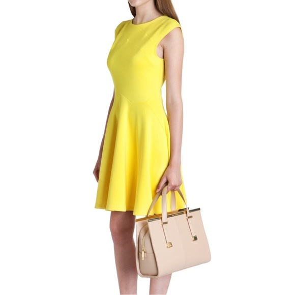 Ted Baker London Dresses & Skirts - Ted Baker London Sew In Love Yellow Arwyn Panelled Sleeveless Skater‎ Dress